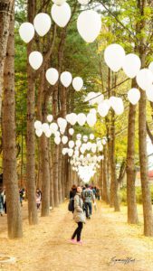 Nami Island, Seoul, South Korea