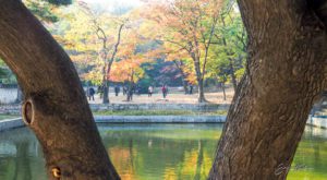 Changdeokgong, Seoul, South Korea.