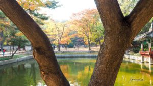 Changdeokgong, Seoul, South Korea.