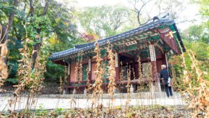 Changdeokgong, Seoul, South Korea.