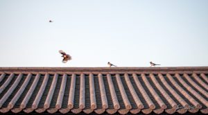 Changdeokgong, Seoul, South Korea.