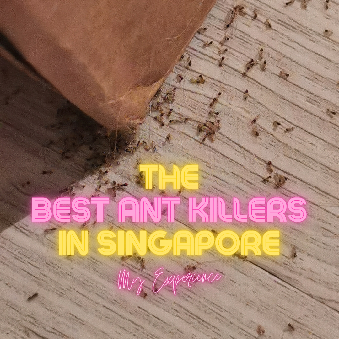 The Best Ant Killers In Singapore - My Experience - I am Sam - samuelgoh.net
