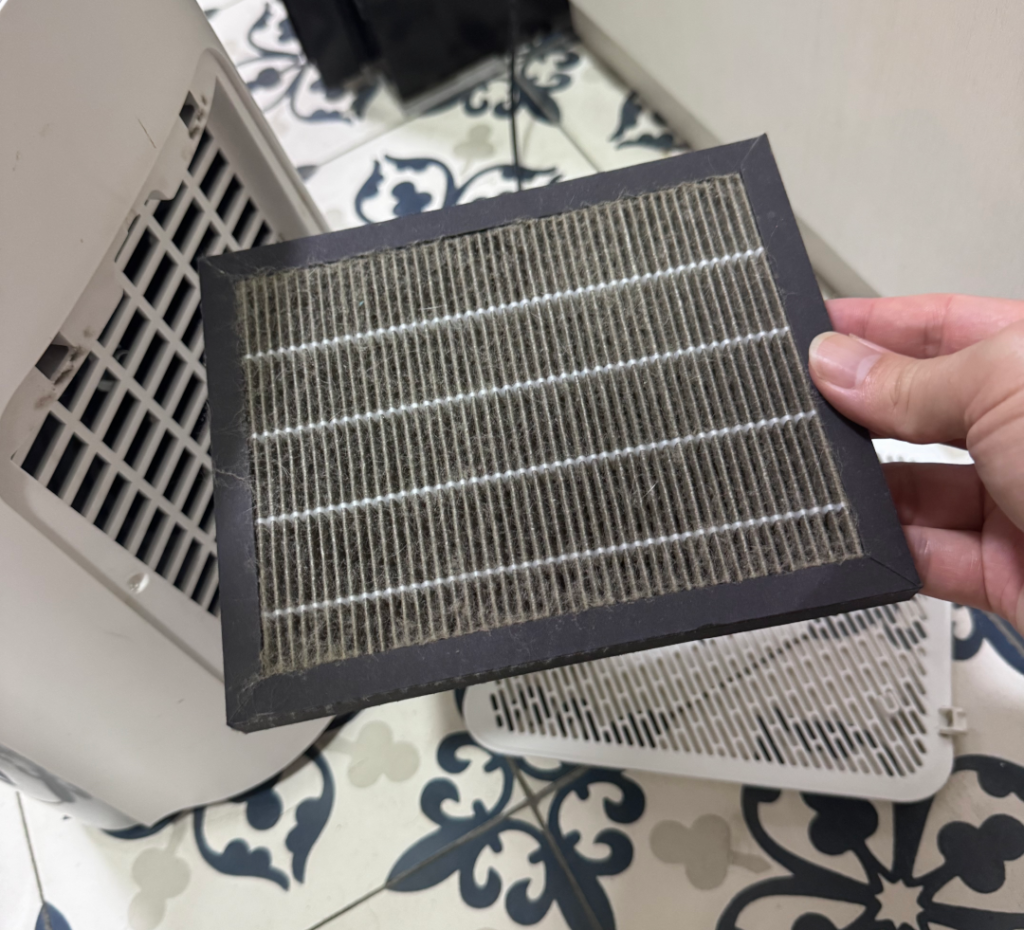 A hand holding the HEPA filter from a Europace EBFZ2WH fan, its pleats coated in grey dust and fine hair, next to the fan’s open base.