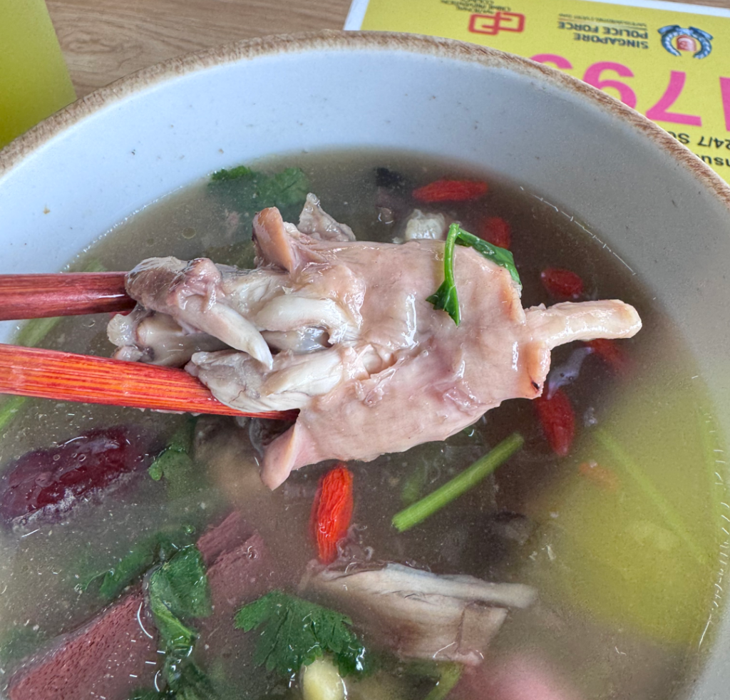 Close-up of turtle meat held up with chopsticks over herbal turtle soup